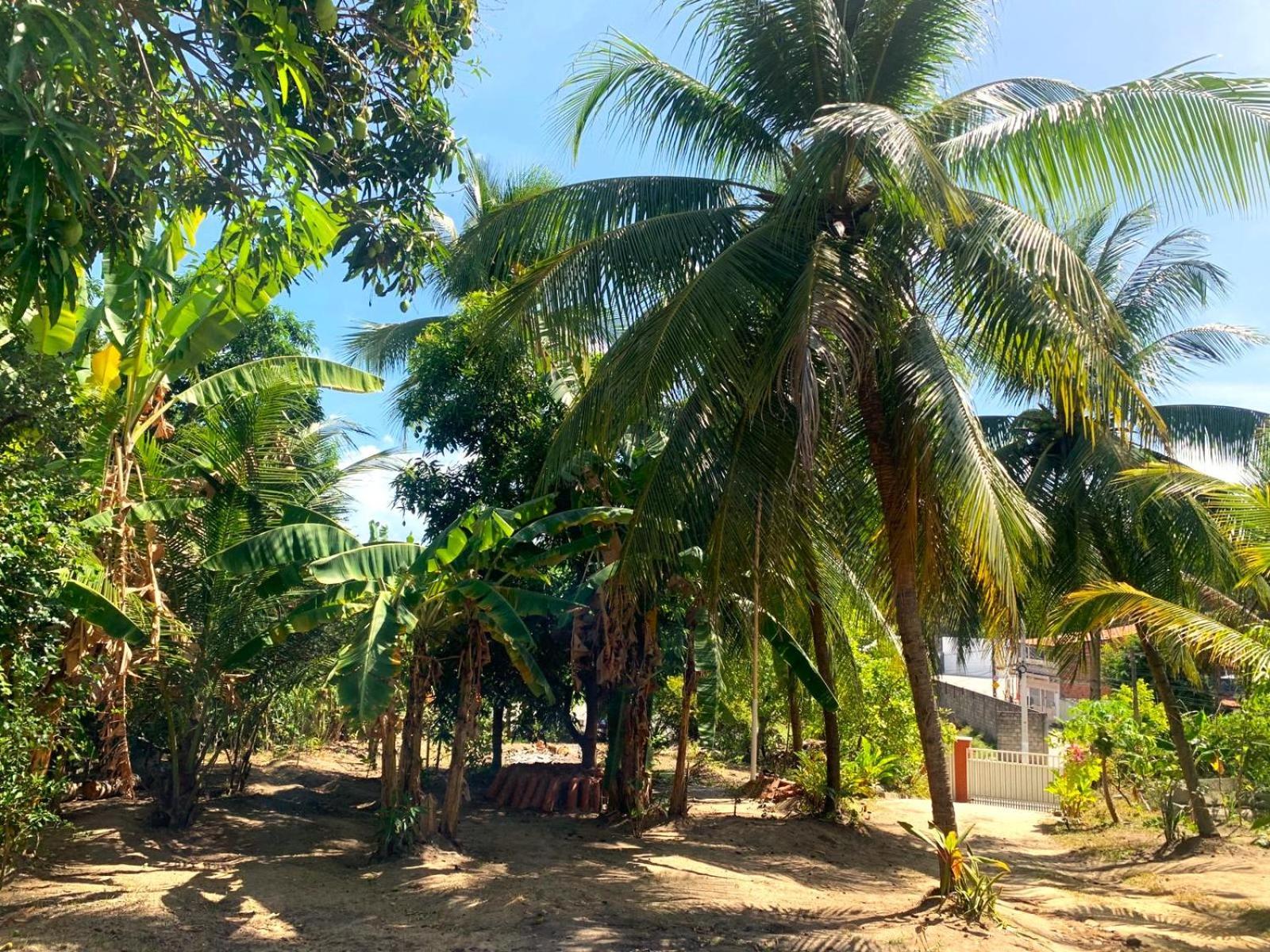 Hotel Jacarecica Haus à Maceió Extérieur photo